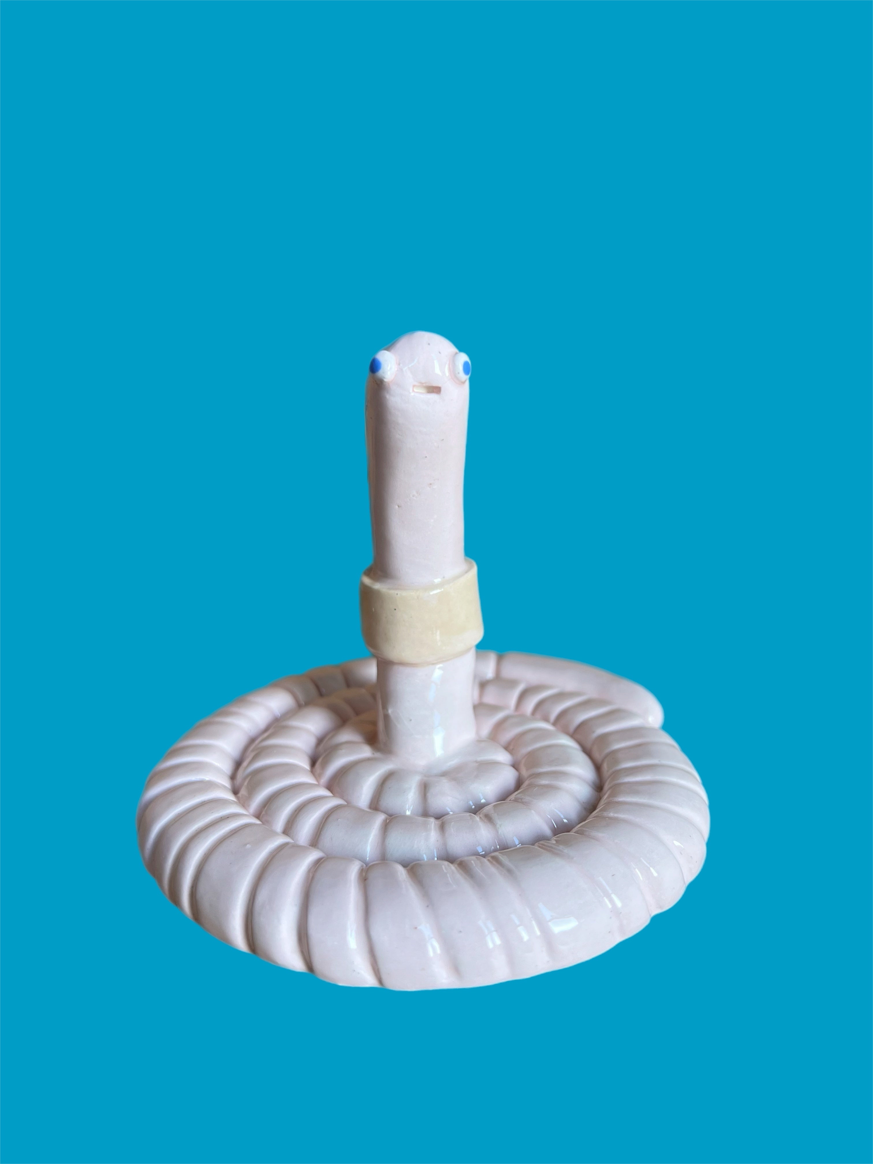 Ceramic worm ring holder