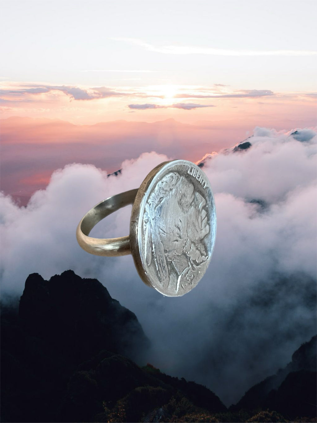 Buffalo head nickel ring
