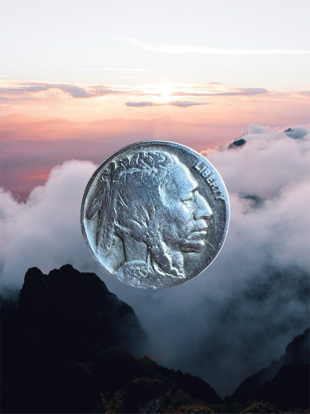 Buffalo head nickel ring