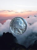 Buffalo head nickel ring