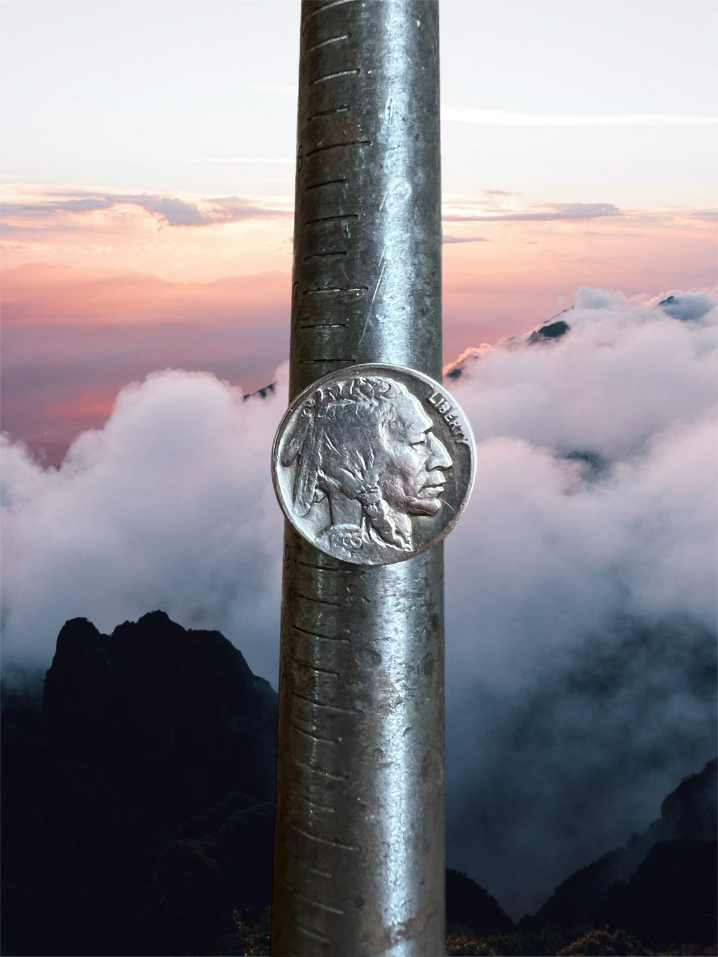 Buffalo head nickel ring