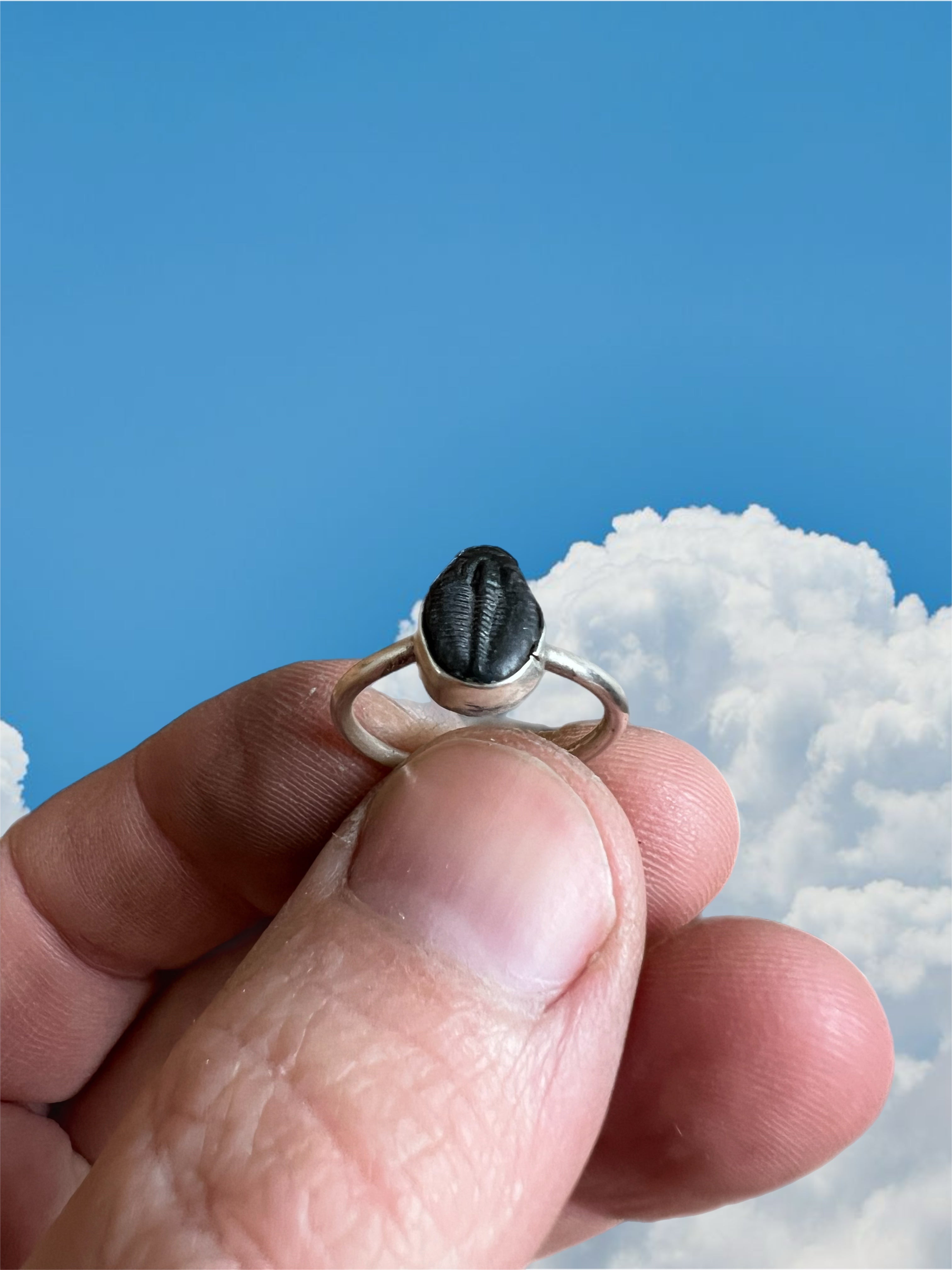 Trilobite fossil ring