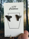 Sharks teeth earrings