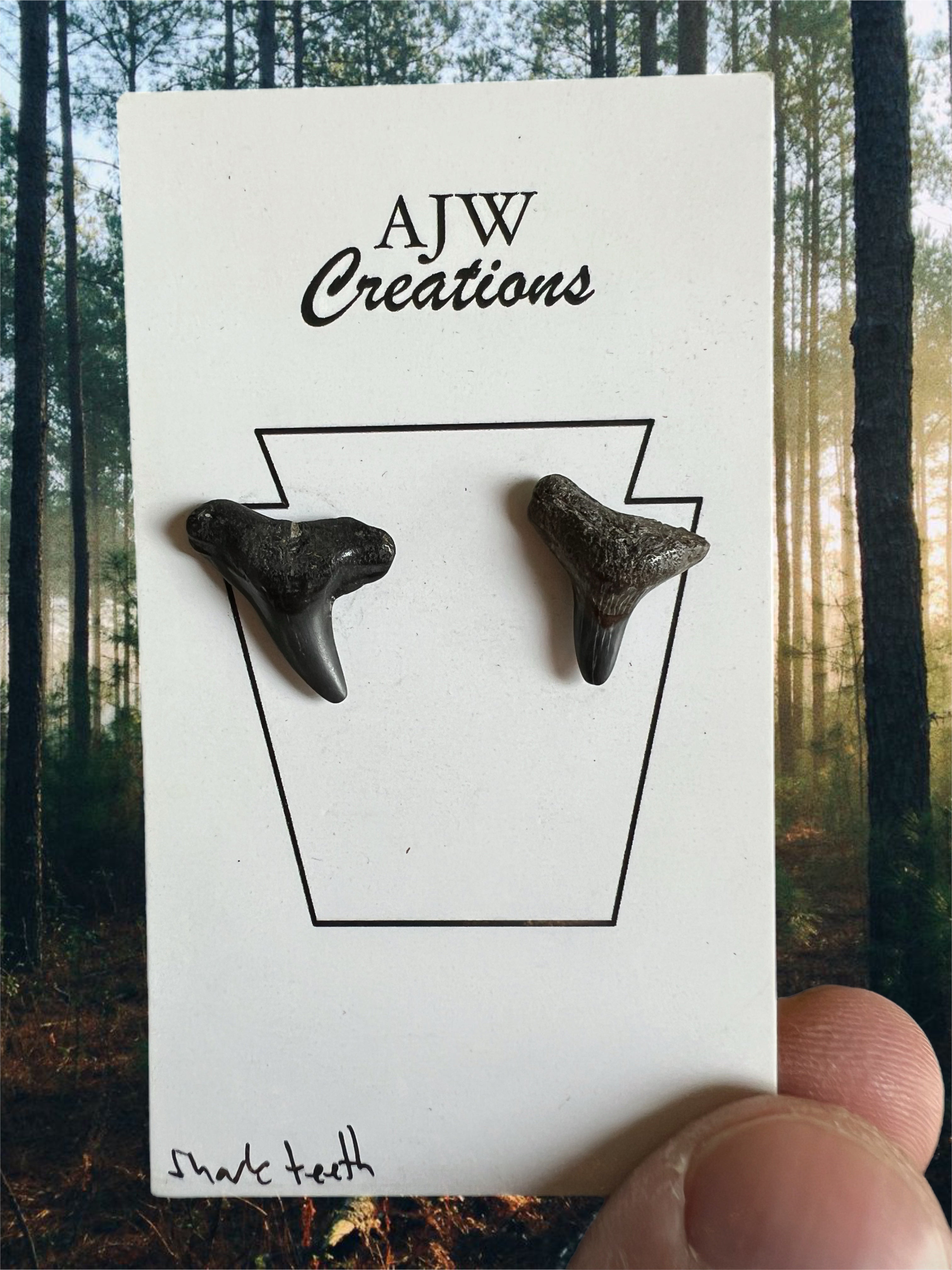Sharks teeth earrings