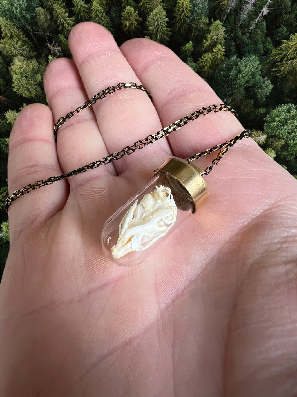 Small skull necklace