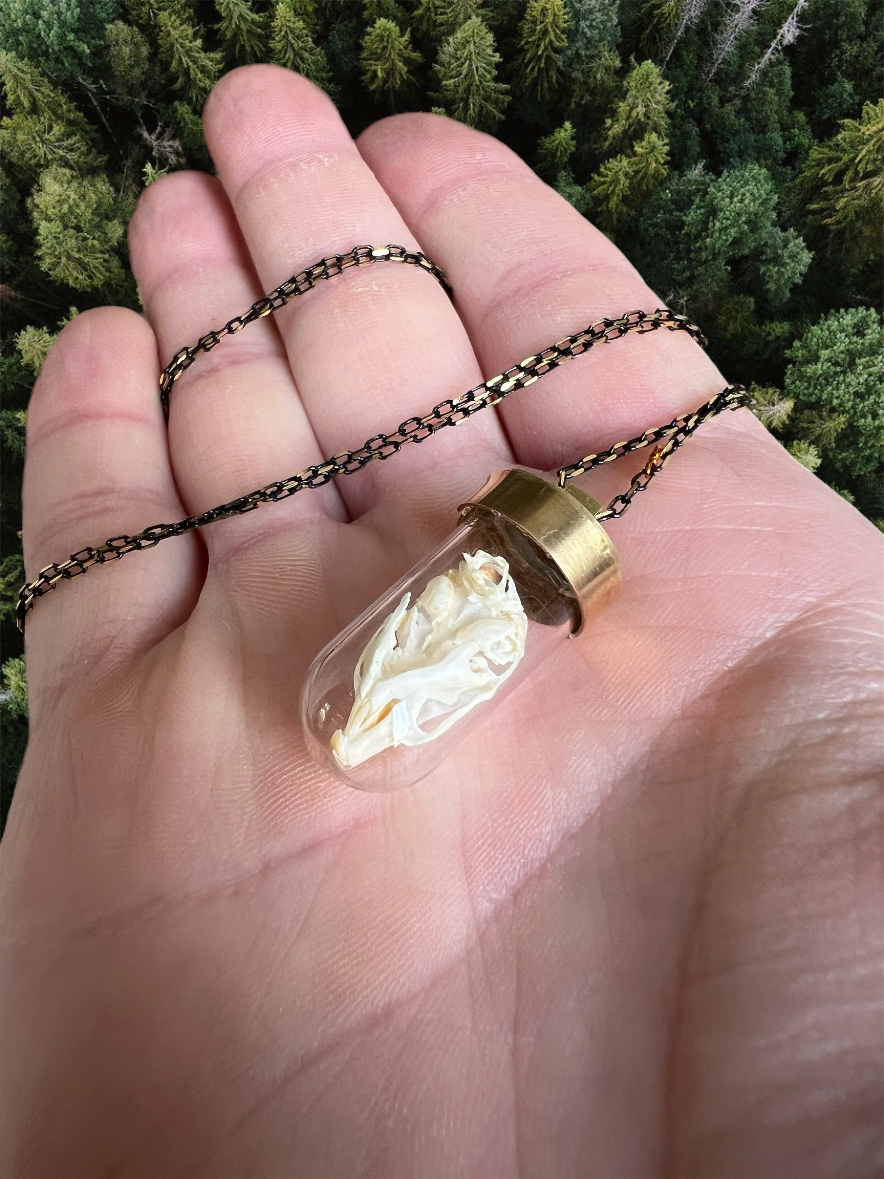 Small skull necklace