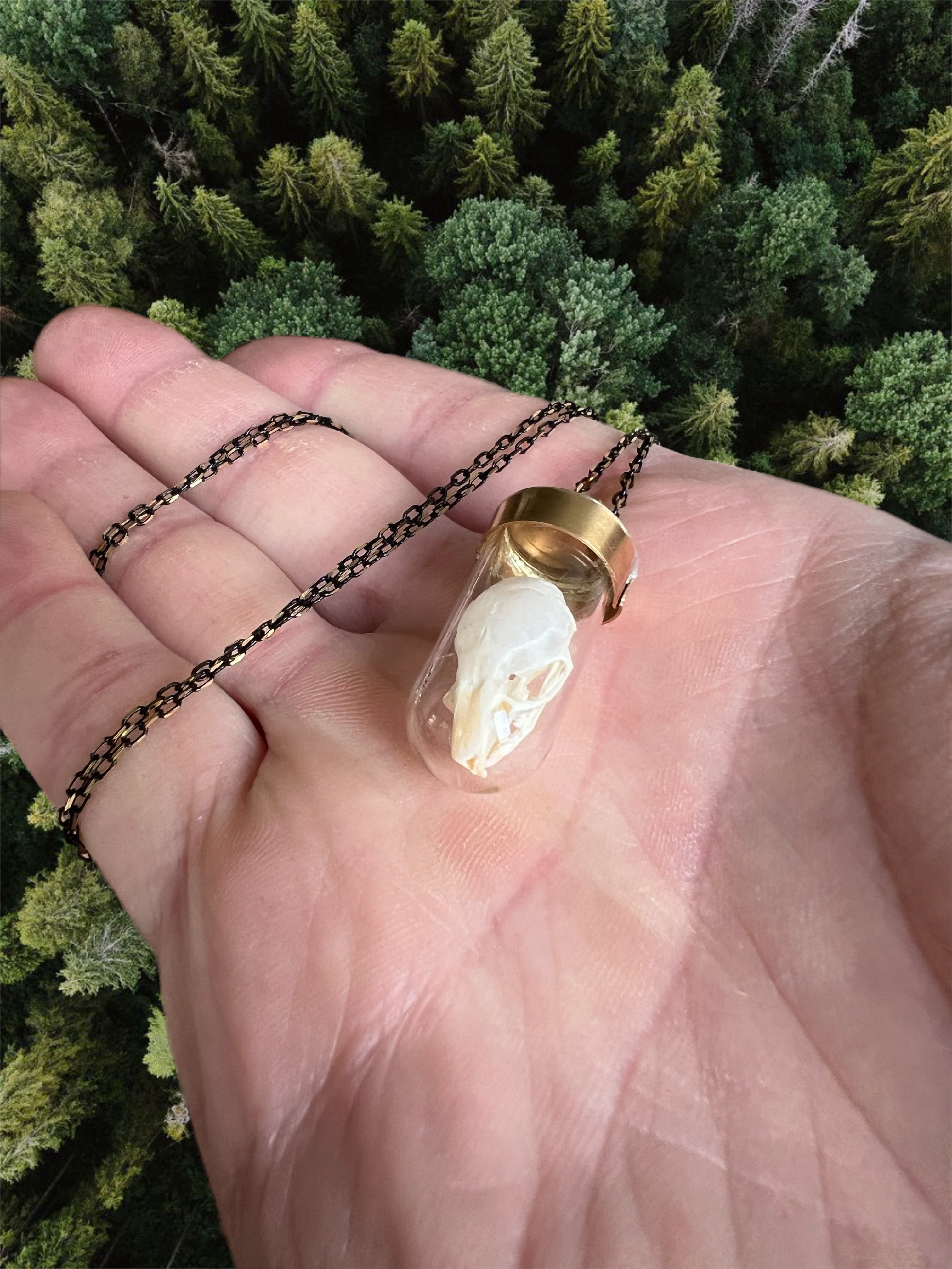 Small skull necklace