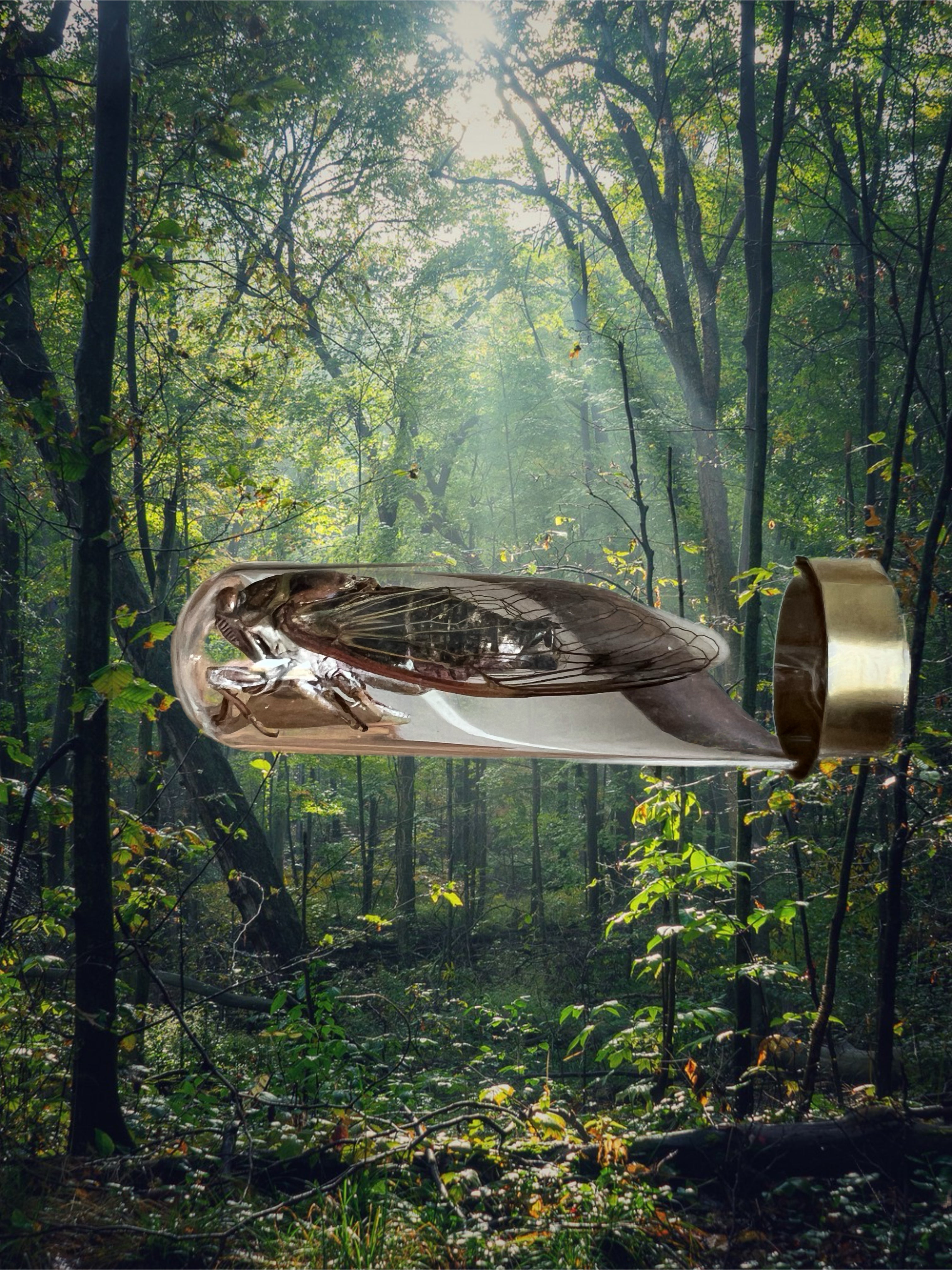 Cicada necklace