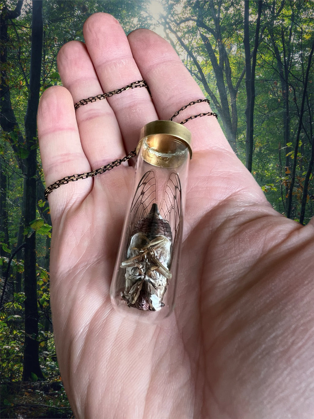 Cicada necklace