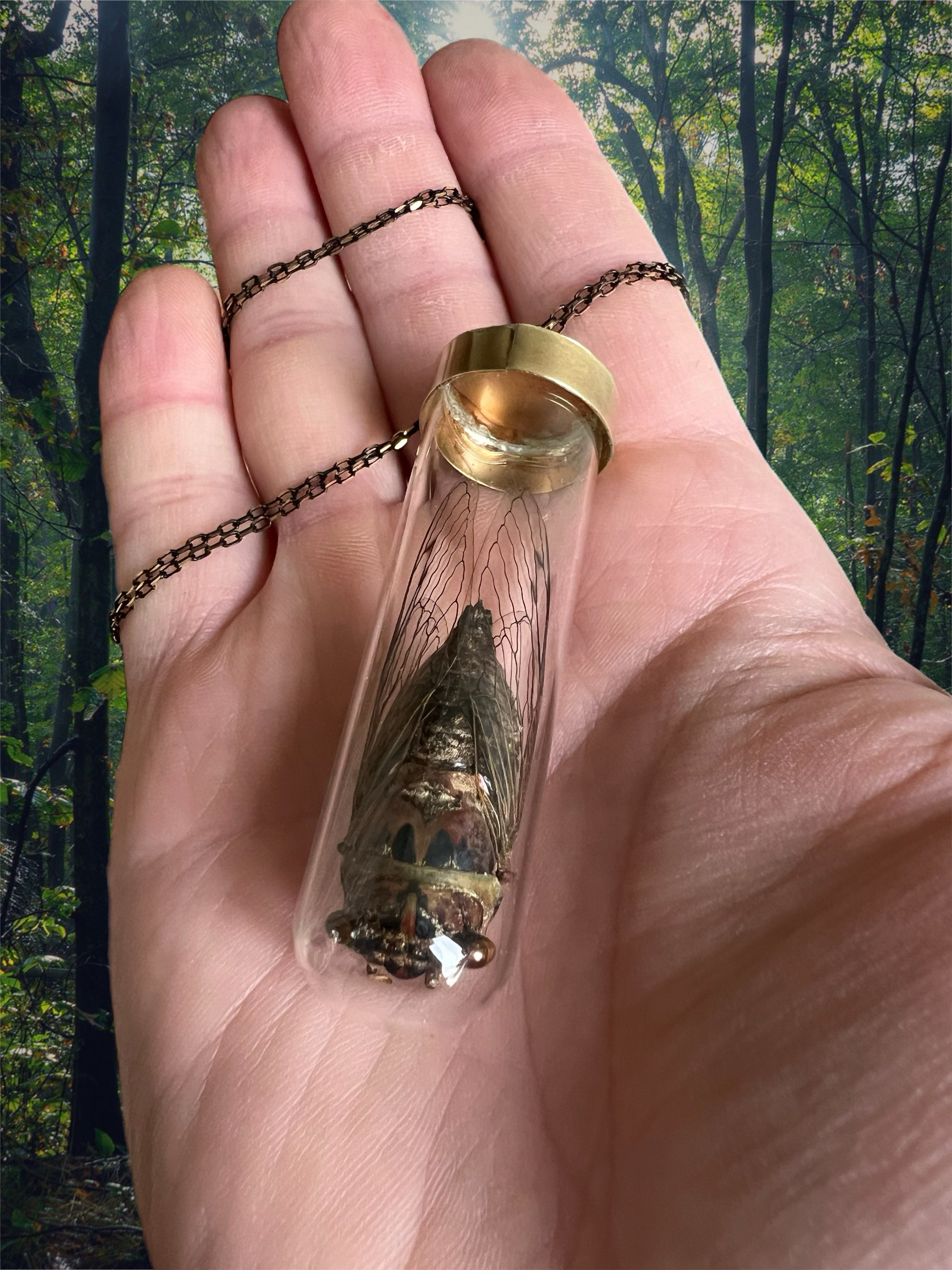 Cicada necklace