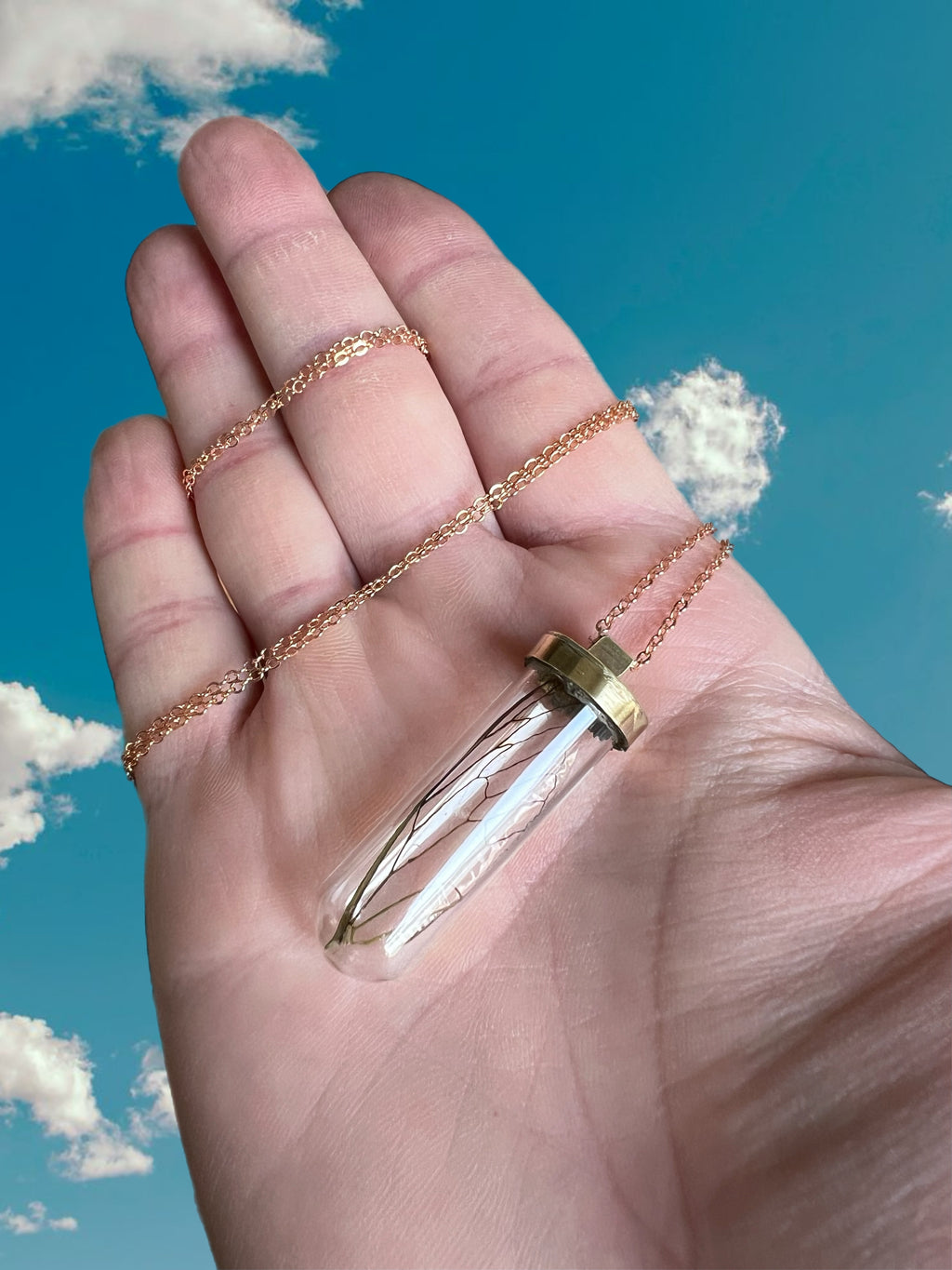 Cicada wing necklace