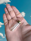 Cicada wing necklace