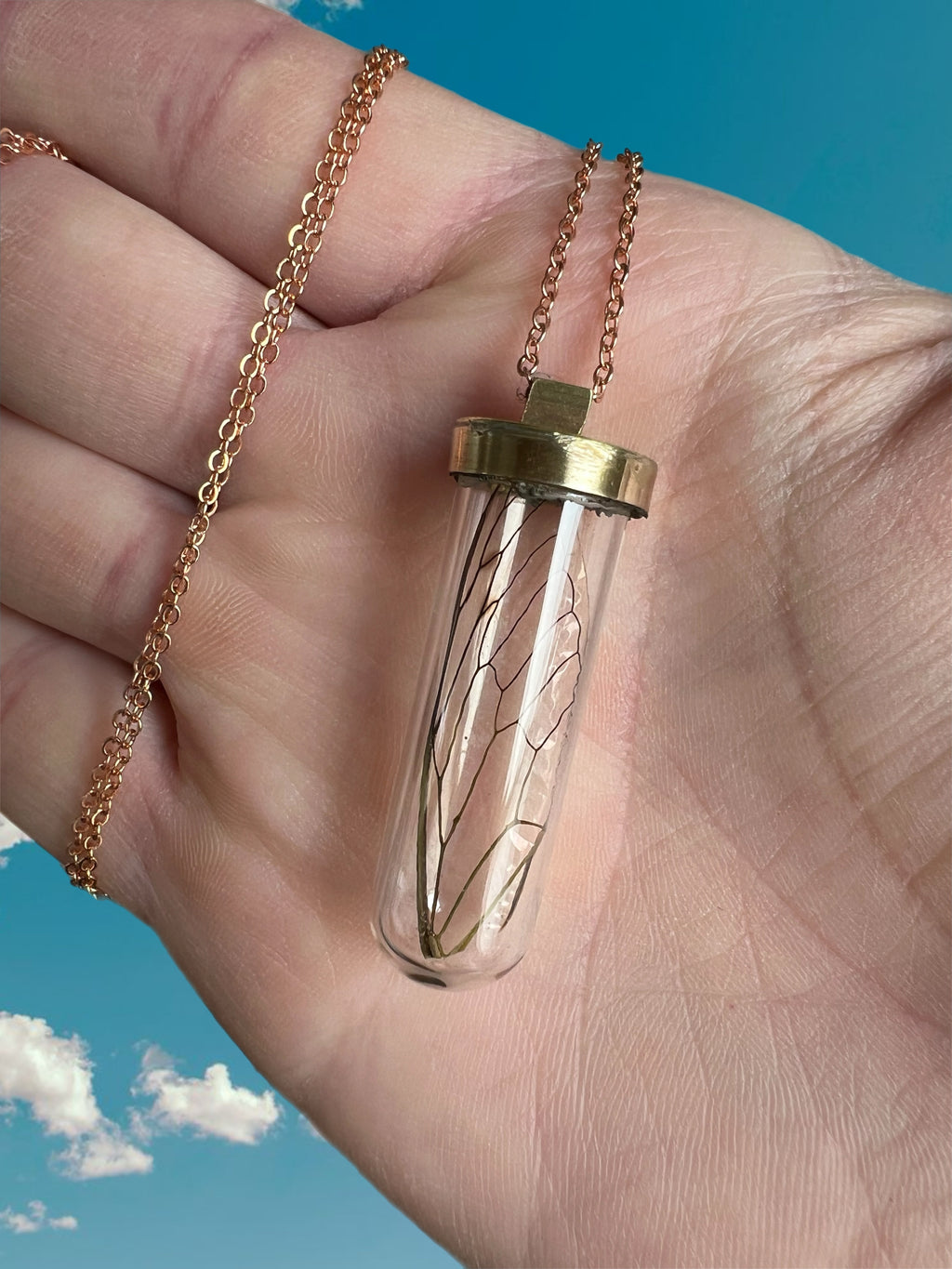 Cicada wing necklace