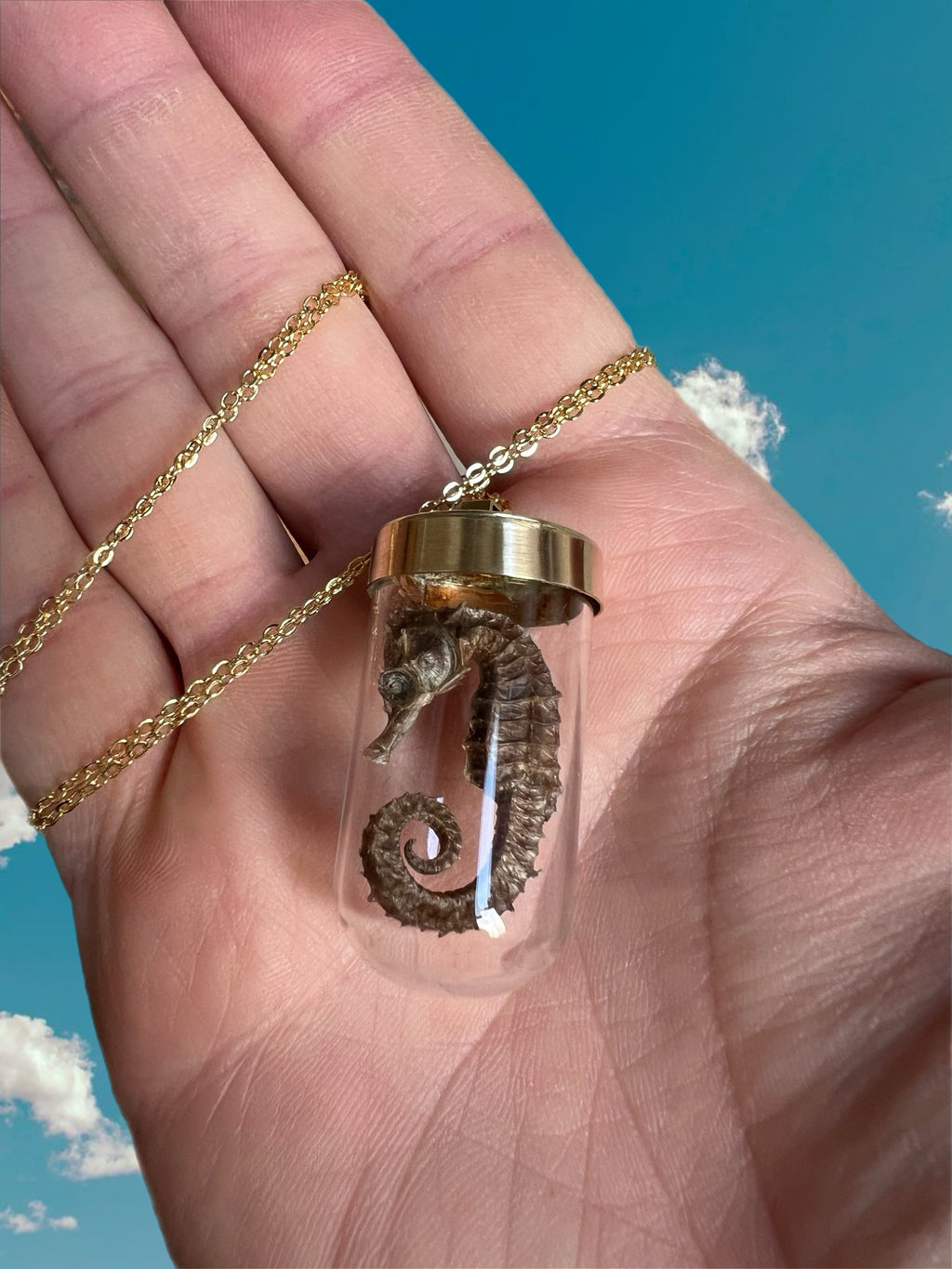 Seahorse necklace